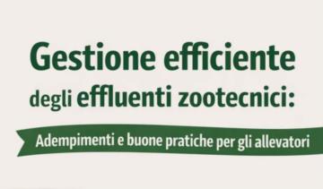 Gestione degli effluenti zootecnici e Direttiva Nitrati: l’Università  della Basilicata a lezione di sostenibilità